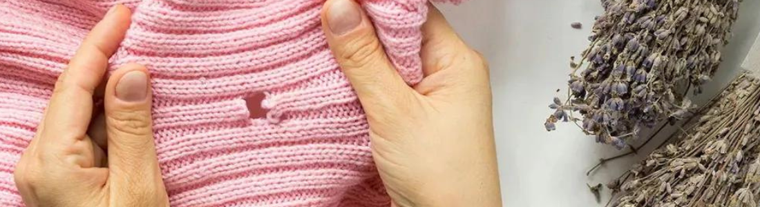 Proteja Suas Roupas Contra Traças com Dedetização Especializada 24 HORAS