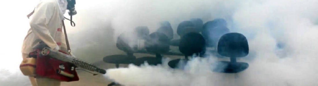 Dedetizadora Emergencia 24 HORAS