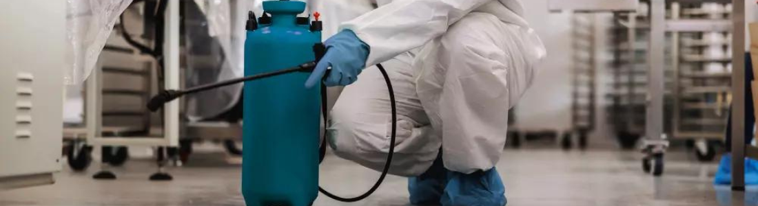 Dedetização de Lanchonetes: Como Evitar Infestações e Multas 24 HORAS