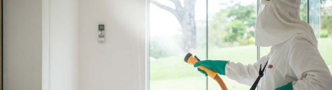 Nebulização contra Mosquitos 24 HORAS
