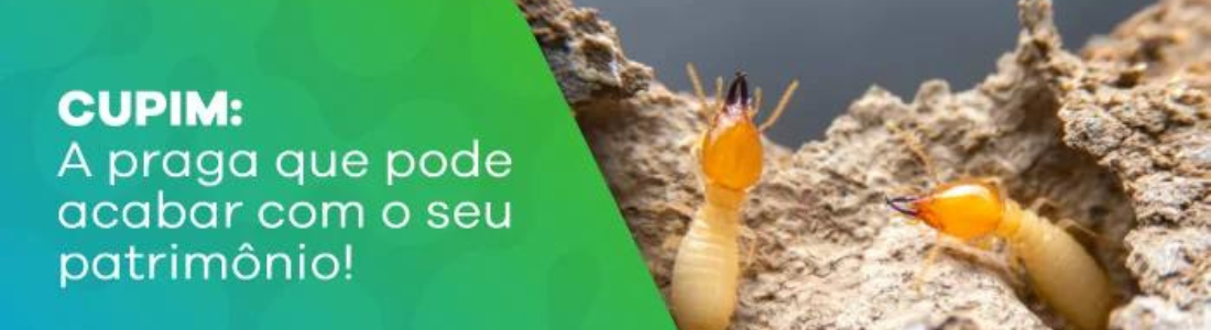 EMPRESA QUE FAZ A DESCUPINIZAÇÃO 24 HORAS