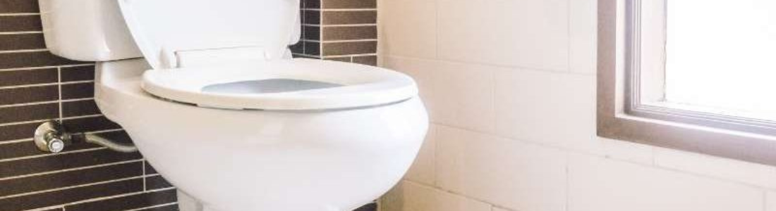 Desentupimento de Vaso Sanitário: Problemas Frequentes e Soluções 24 HORAS