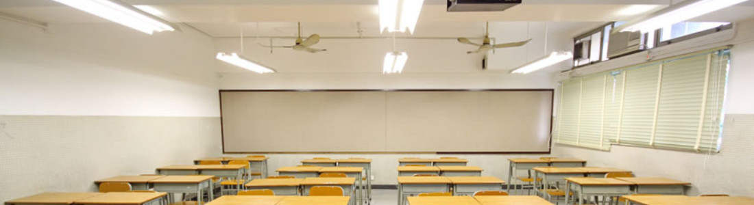Dedetização em Escolas de São Paulo  24 HORAS