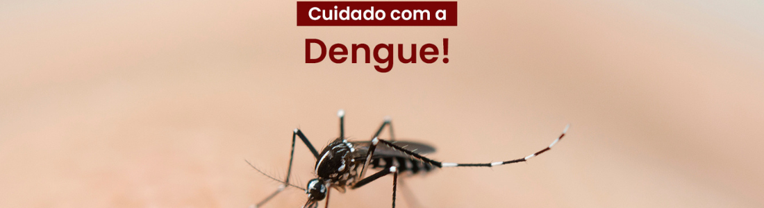 Combate à Dengue: Medidas Essenciais para Prevenir a Doença 24 HORAS
